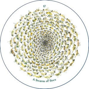 Cantigee Oracle: 52 Ecological Spiritual Card Deck & Guidebook Rae Diamond