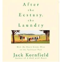 After the Ecstasy the Laundry