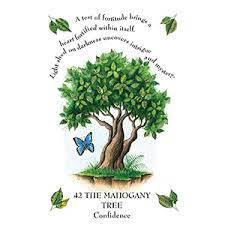 The Tree Magick Oracle Deck: Includes 52 Cards and a 64-Page Illustrated Book Gillian Kemp