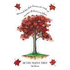 The Tree Magick Oracle Deck: Includes 52 Cards and a 64-Page Illustrated Book Gillian Kemp