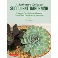 Beginner's Guide to Succulent Gardening