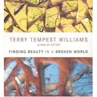 CD: Finding Beauty in a Broken World